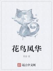 花鸟风月是什么