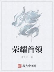怎么获得荣耀领袖称号