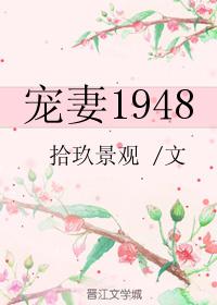 宠妻1948重生免费阅读