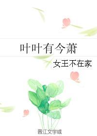 叶叶有今萧讲什么