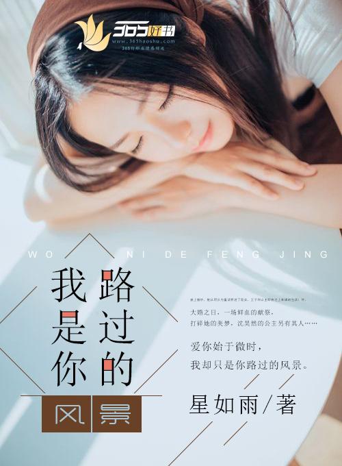 我是你路过的风景是哪首歌歌词