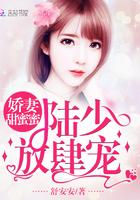 娇妻有毒陆少宠妻无法无天