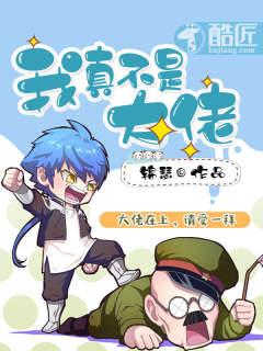 我真不是大佬晋江
