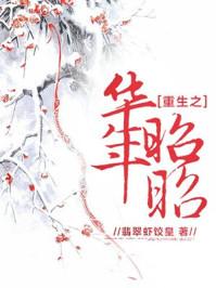 重生之华年昭昭txt微盘
