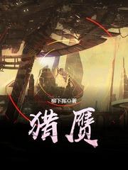 猎赝全本精校版txt
