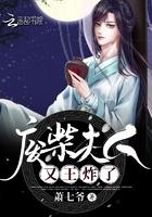夫人废柴她还狂免费