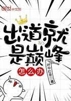 出道就是巅峰啥意思