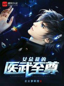女总裁的医武至尊全集免费