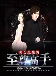 美女总裁的至尊高手简介