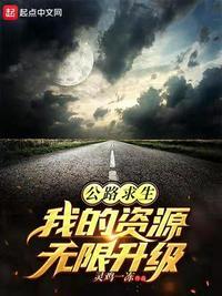 公路求生 从升级