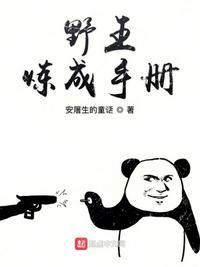 野区炼成手册