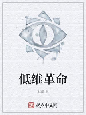 低维革命 看不下去