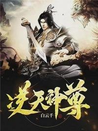 逆天神尊陈宫