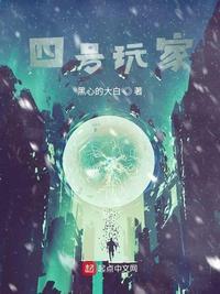 四号玩家安装