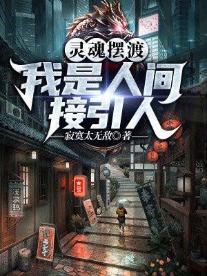 灵魂摆渡之我是
