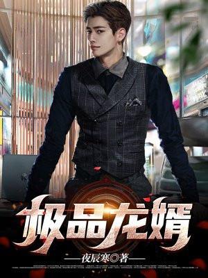 极品龙婿电视剧免费观看
