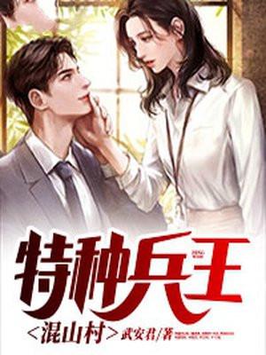 特种兵王混山村(武安君)