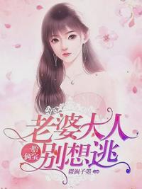 沈蔓歌叶南弦全文免费阅读正版