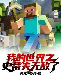 史蒂夫 我的世界