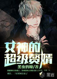 我给女神当赘婿全文免费阅读