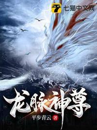 龙脉8分神域