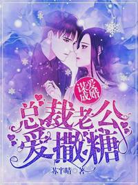 女主叫宁浅的