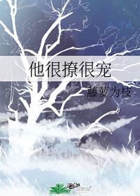 女主叫宁蓁男主叫陆执