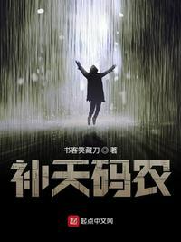 补天码农笔趣阁