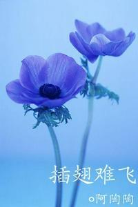 沈初云陆进八天八夜第几章