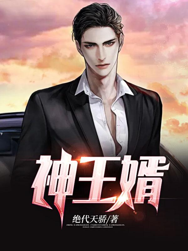 神王婿秦天正版免费阅读笔趣阁