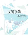 夜阑京华讲的是什么