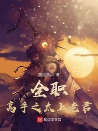 全职高手第二部