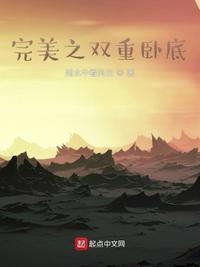 完美之双重卧底免费