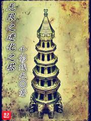 无限进化攻略