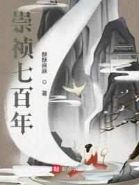 崇祯237年
