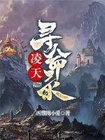 凌夫寻命录