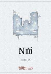 n面料什么意思