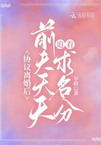 前夫天天追着求名分免费阅读