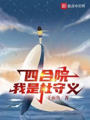 四合院我是杜守义的