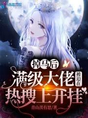 满级大佬掉马甲之后