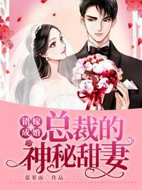 总裁的神秘甜妻小视频