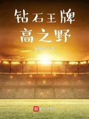 钻石王牌高之野TXT全文阅读