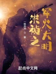 带着现代武器去大明