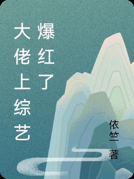 大佬上好声音完整版
