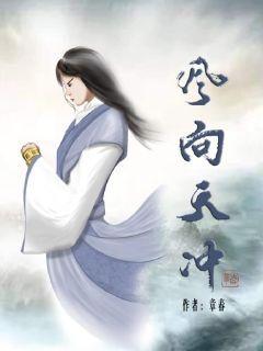 风向天冲的作者