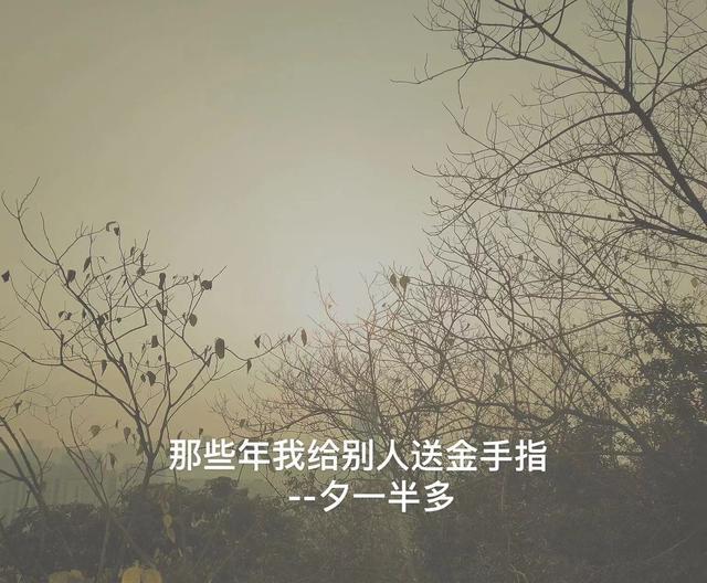 我做夫人那些年金手指3.1
