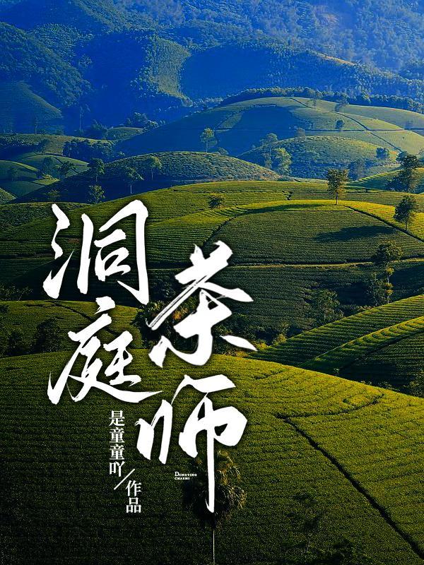 洞庭茶师在线阅读