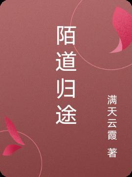 陌路归途好看吗