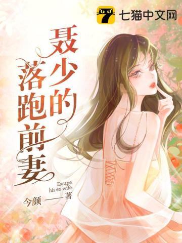 我爱不起全文免费阅读