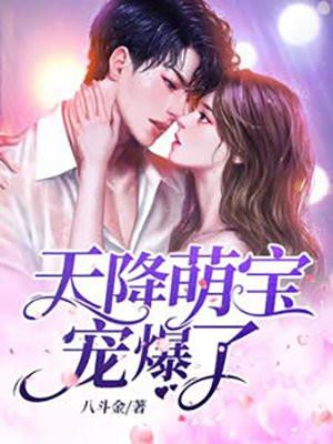 天降萌宝电视剧